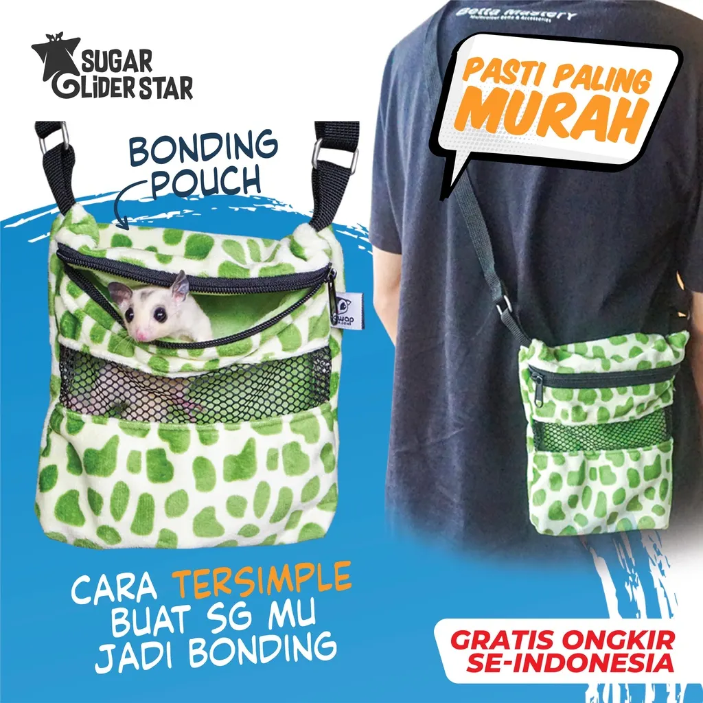 Cara Menjinakkan Sugar Glider Baru