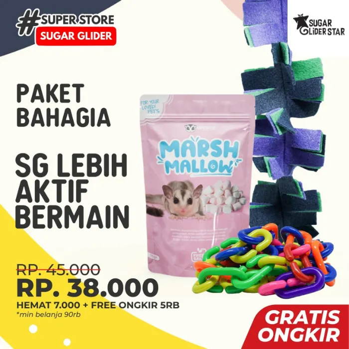 Tips Memelihara Sugar Glider untuk Pemula