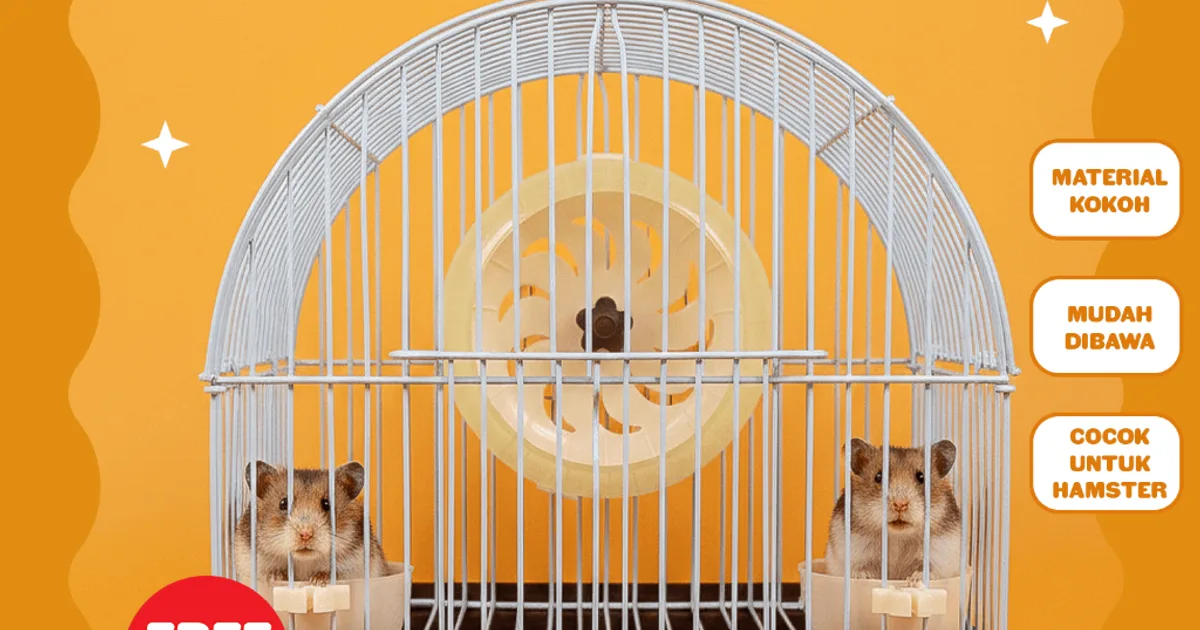 Cara Memilih Kandang Hamster yang Tepat