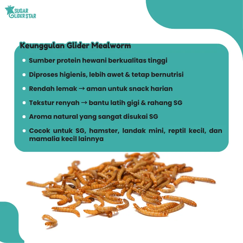 SUGAR GLIDER STAR Ulat Hongkong Kering Makanan Cemilan Hewan Sugar Glider 40gr