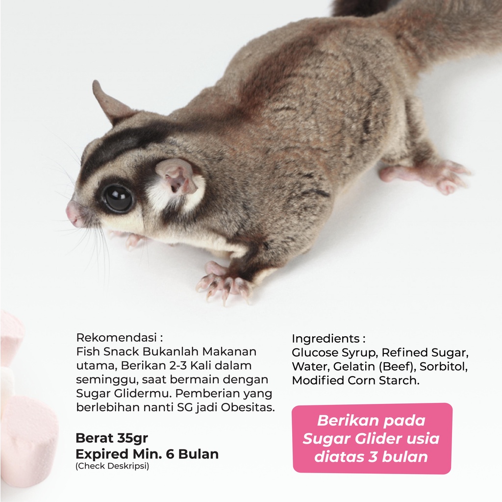 SUGAR GLIDER STAR Mini Marshmallow Cemilan Hewan Sugar Glider