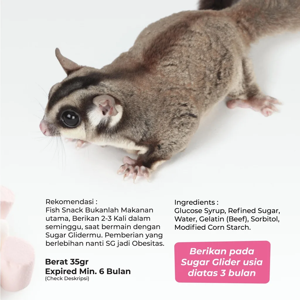 SUGAR GLIDER STAR Mini Marshmallow Cemilan Hewan Sugar Glider
