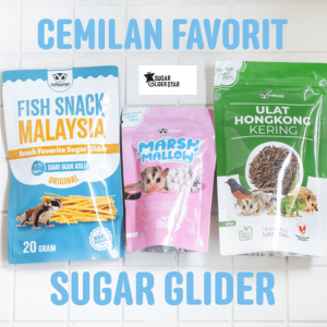 SUGAR GLIDER STAR Paket Hemat Cemilan & Nutrisi Sugar Glider