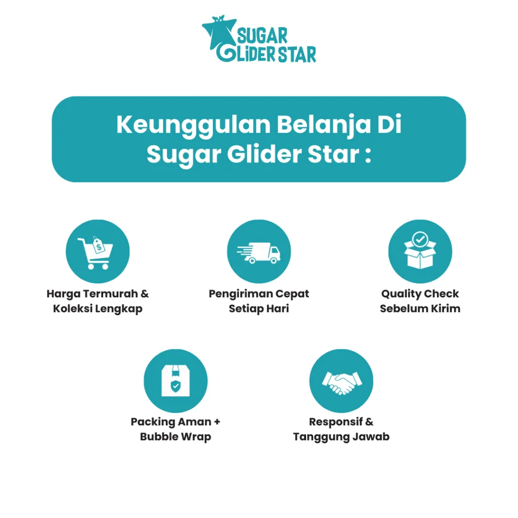 ADEWAP GLIDER Paket Multivitamin Sugar Glider : Vitamin A , Vitamin E & Omega 3