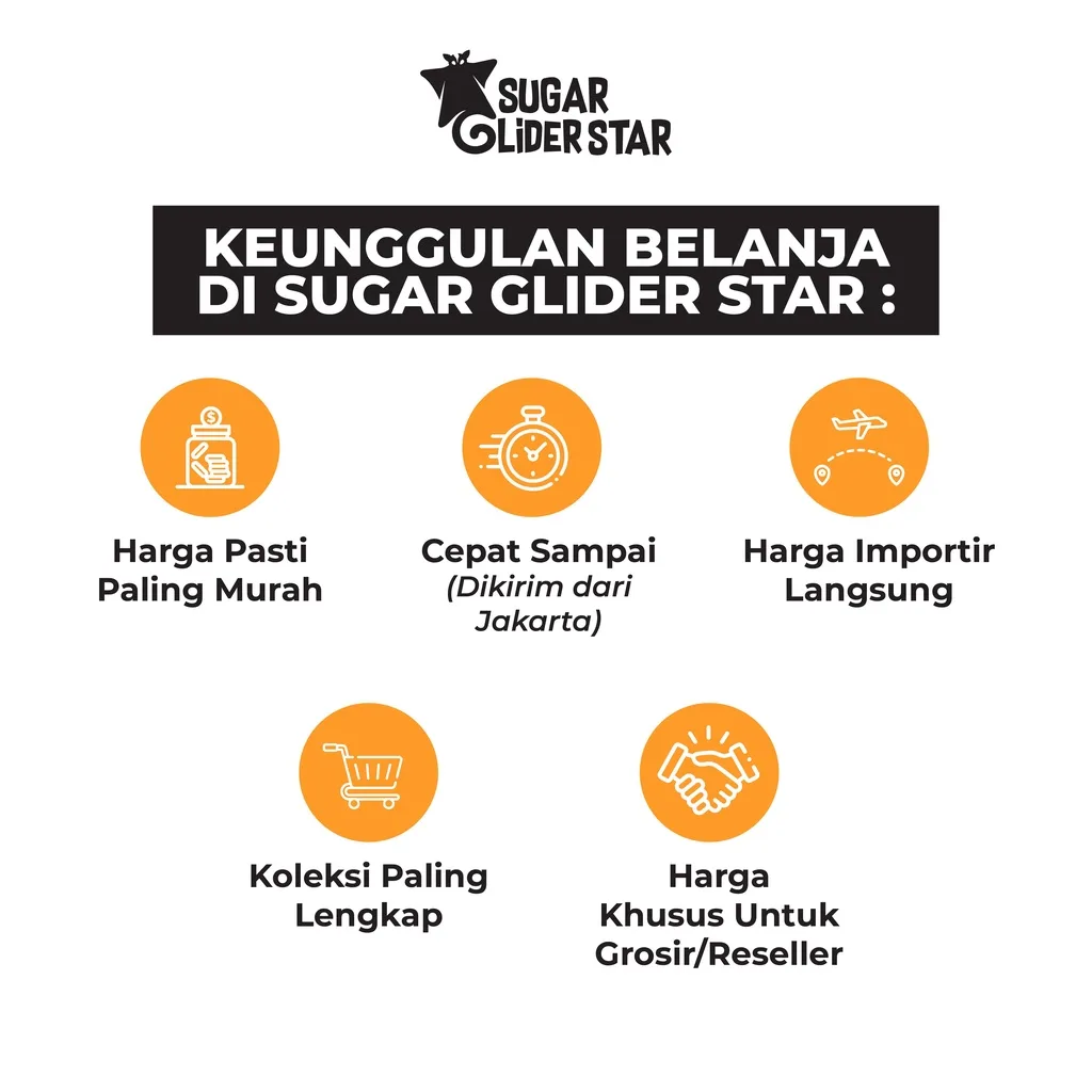 SUGAR GLIDER STAR Glider Parfum Pewangi Hewan Sugar Glider 30ml