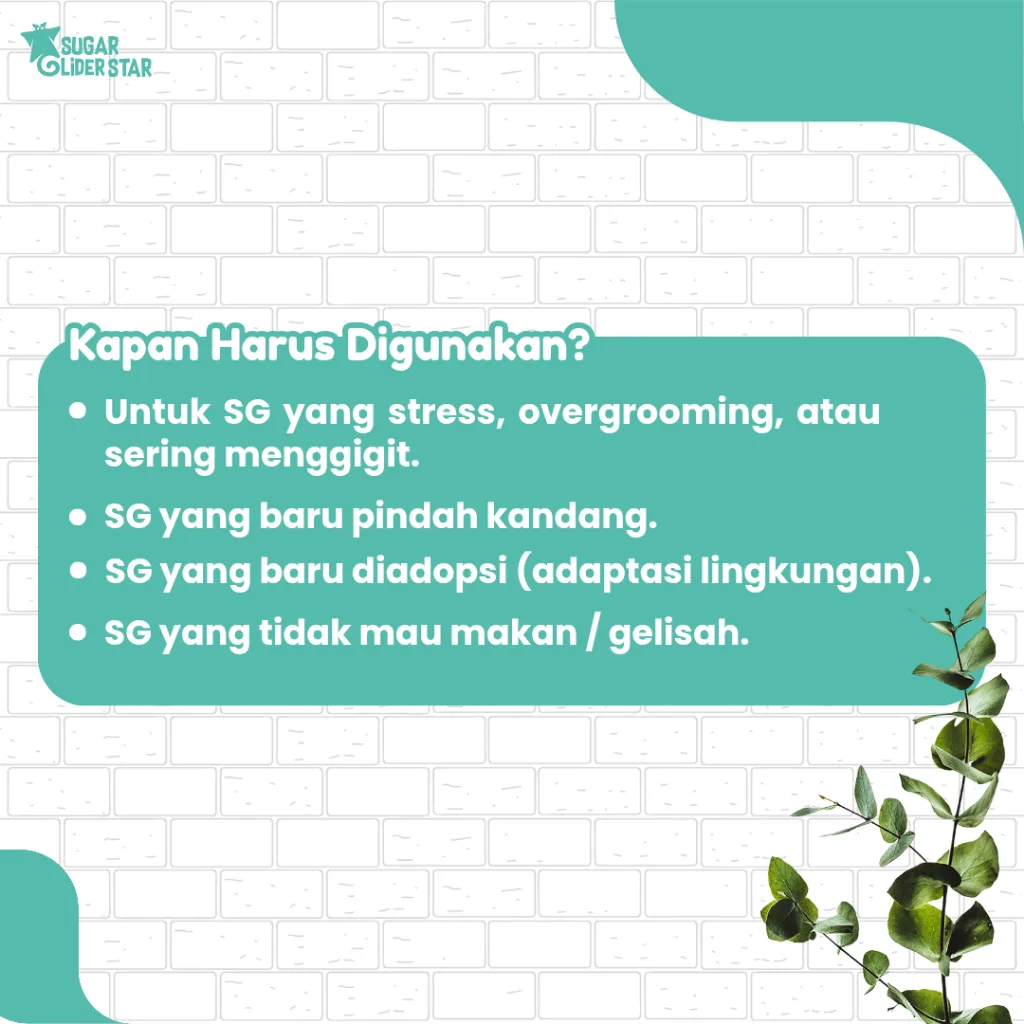SUGAR GLIDER STAR Daun Eucalyptus Terapi Sugar Glider Stres 30gr