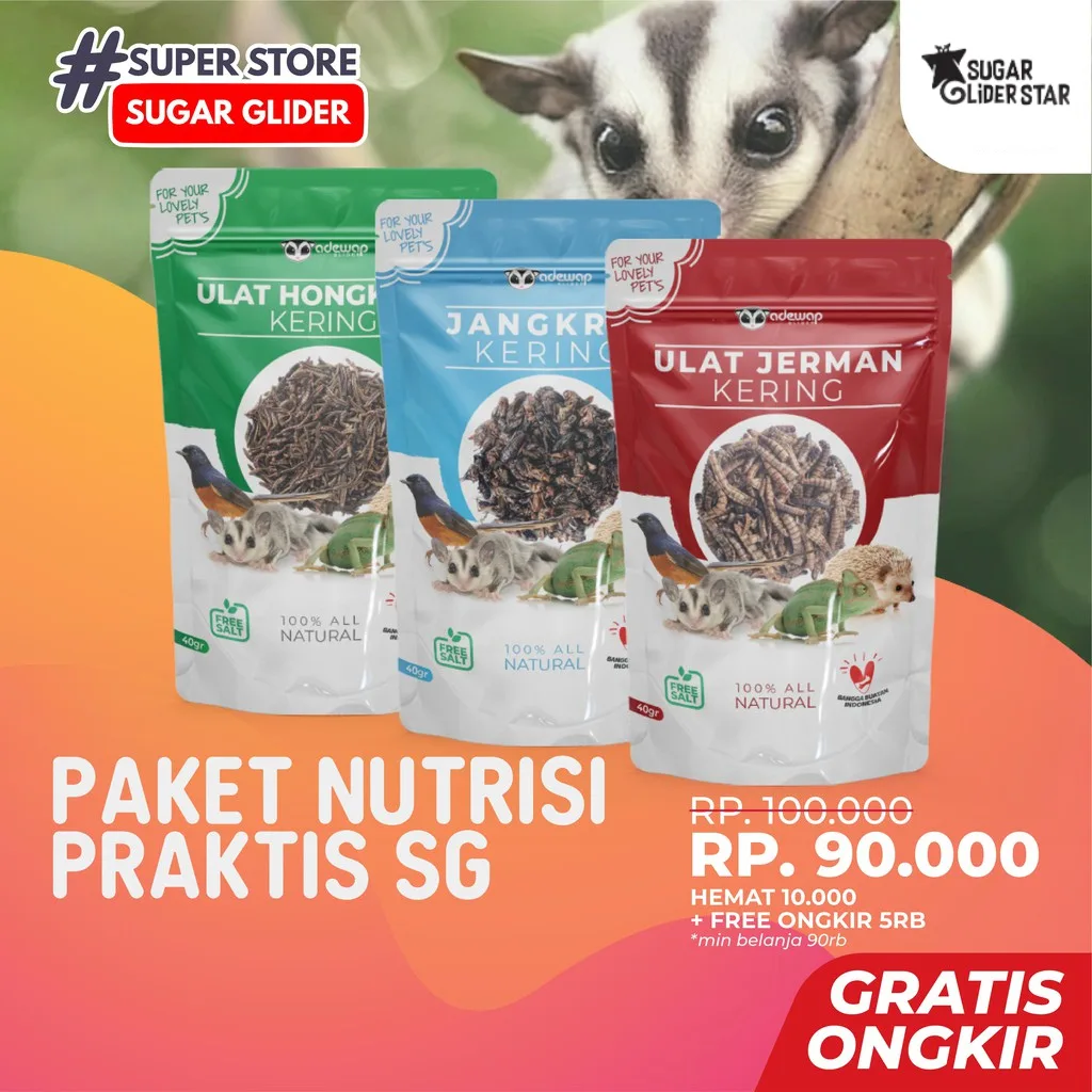 ADEWAP GLIDER Paket Hemat 3 Serangga Nutrisi Protein Sugar Glider