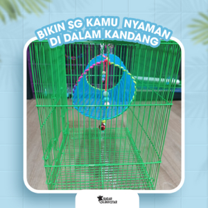 SUGAR GLIDER STAR Terowongan Jaring Mainan Sugar Glider
