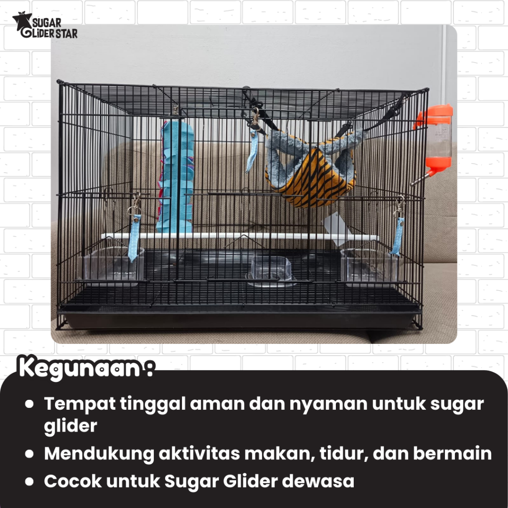 SUGAR GLIDER STAR Paket Kandang Large Perlengkapan Lengkap Pemeliharaan Sugar Glider
