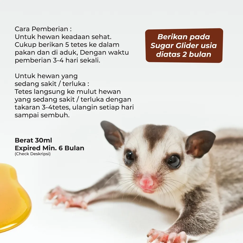 SUGAR GLIDER STAR Glider Honey Madu Murni Kesehatan Sugar Glider 30ml