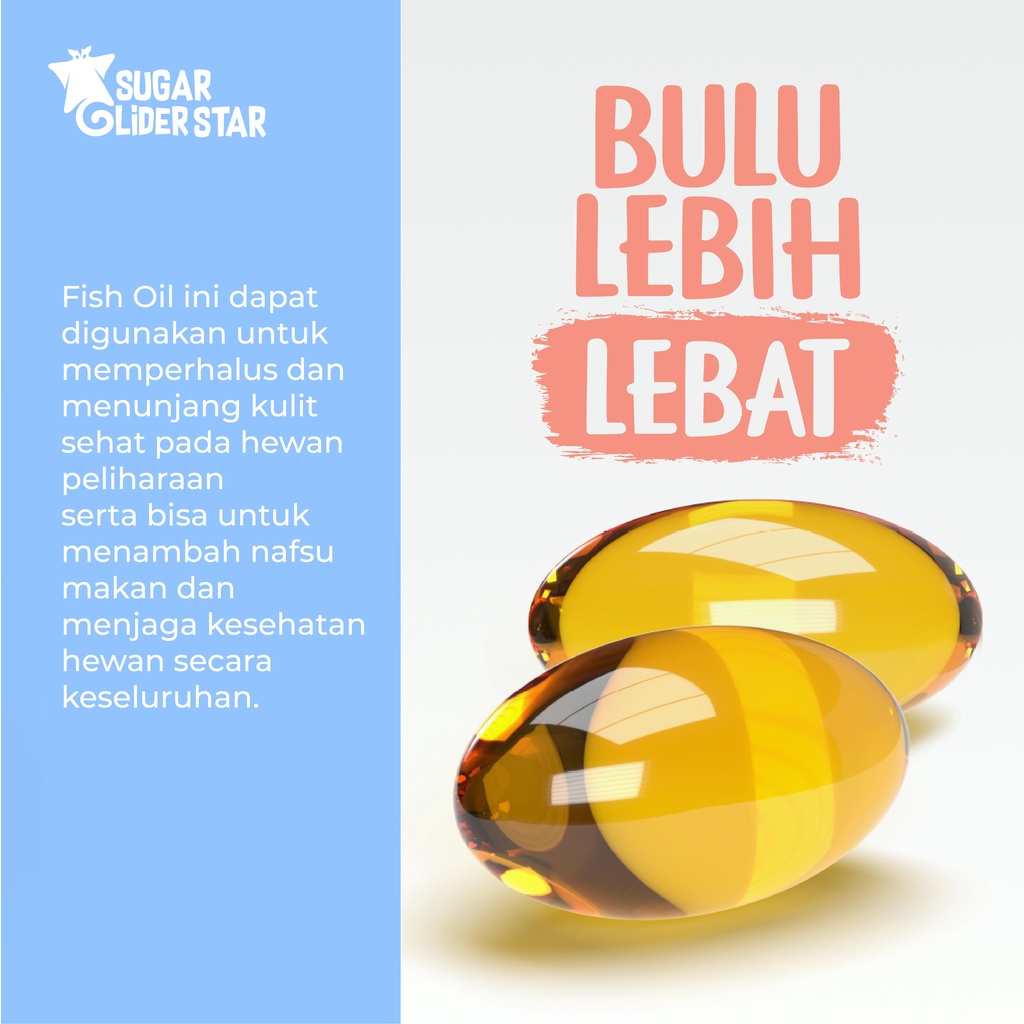 SUGAR GLIDER STAR Minyak Ikan Vitamin Sugar Glider 40 butir