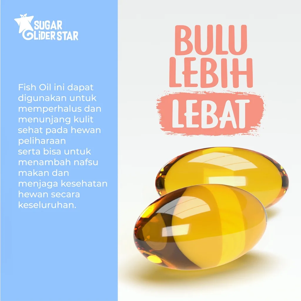 SUGAR GLIDER STAR Minyak Ikan Vitamin Sugar Glider 40 butir