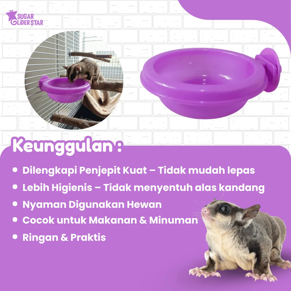 SUGAR GLIDER STAR Tempat Makan Jepit Hewan Sugar Glider