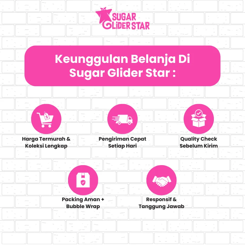 SUGAR GLIDER STAR Tempat Makan Jepit Hewan Sugar Glider