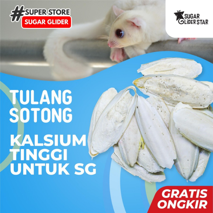 SUGAR GLIDER STAR Kalsium Tulang Sotong Gigitan Sugar Glider