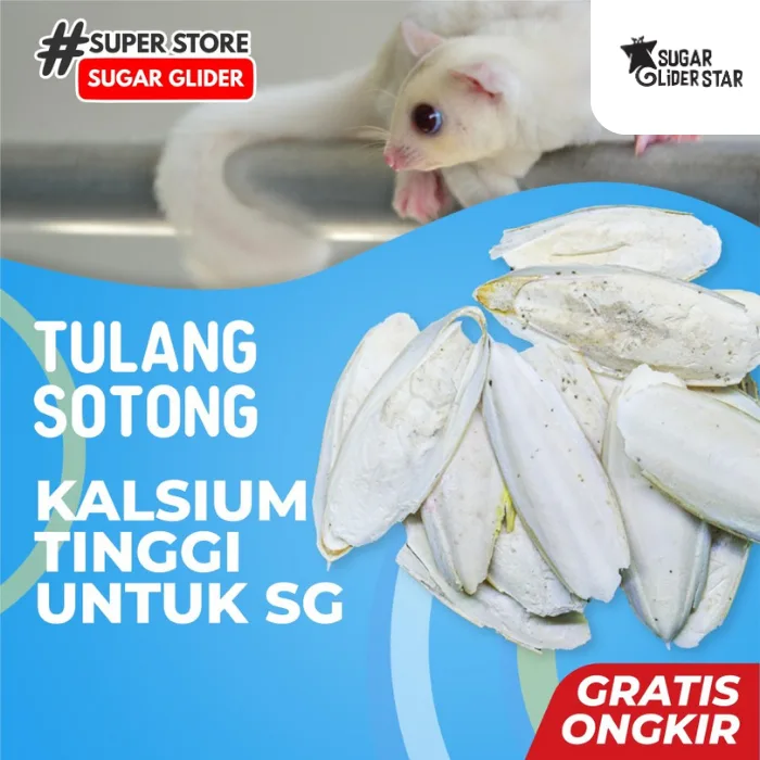 ADEWAP GLIDER Kalsium Tulang Sotong Kering Asinan Gigitan Sugar Glider