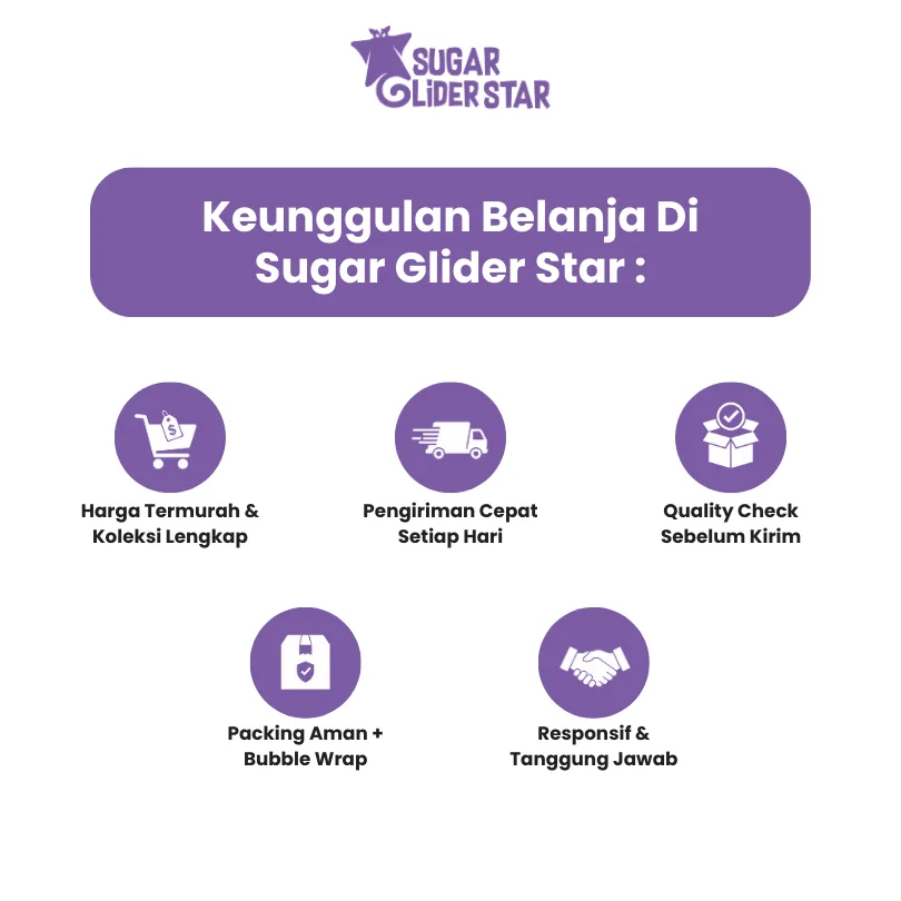 SUGAR GLIDER STAR Ulat Jerman Kering Cemilan Sugar Glider