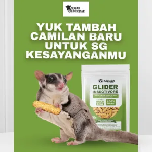 SUGAR GLIDER STAR Glider Insectivore Nutrition Makanan Sugar Glider Import USA