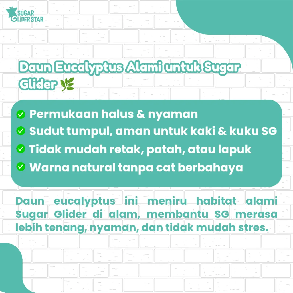 SUGAR GLIDER STAR Daun Eucalyptus Terapi Sugar Glider Stres 30gr