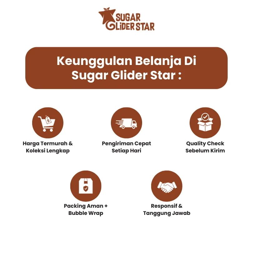 SUGAR GLIDER STAR Kayu Apel Asli Gigitan Gigi Sugar Glider Isi 5 Batang
