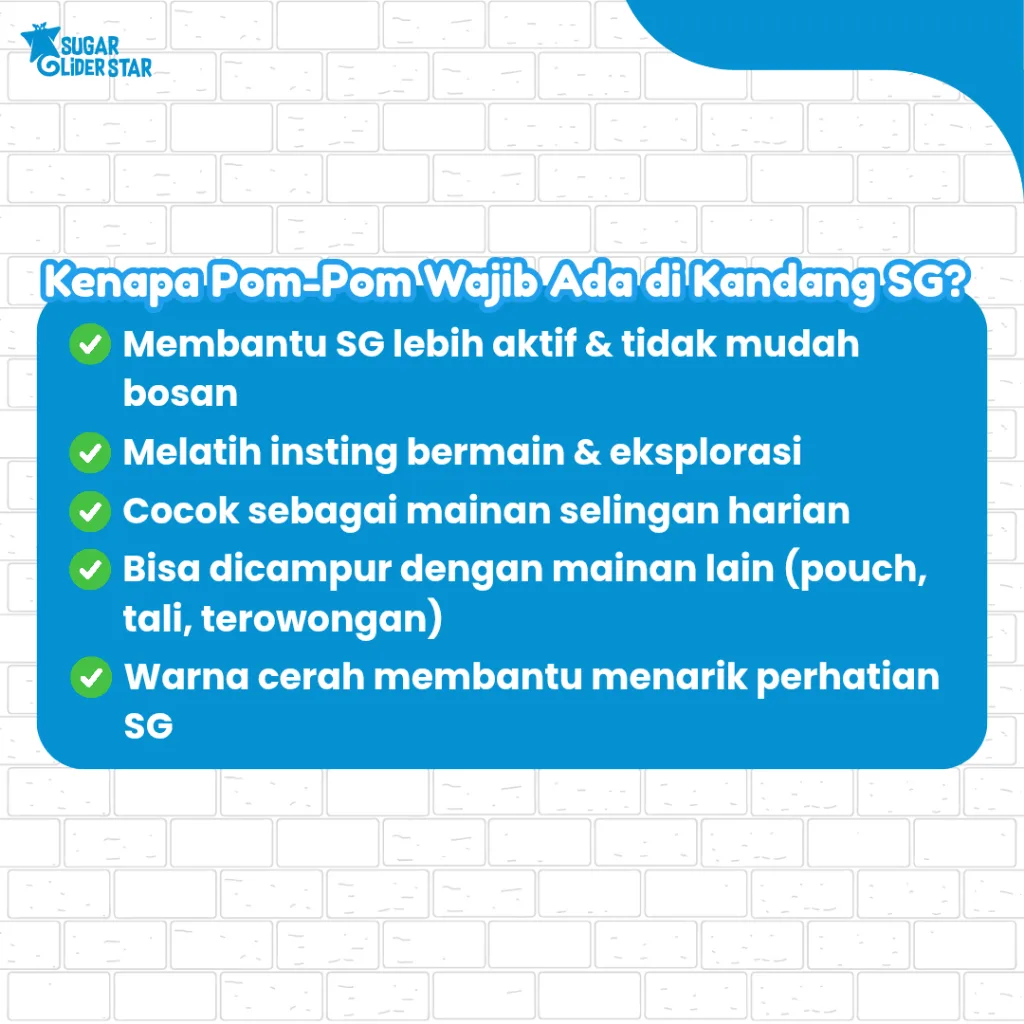 ADEWAP GLIDER Pom Pom Mainan Sugar Glider