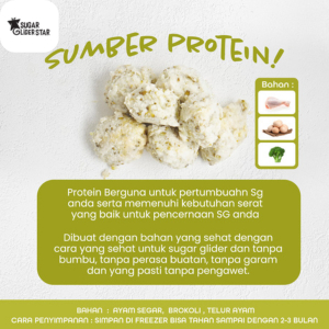 FROZEN FOOD BROCOLLI MEATBALL GLIDER CHICKEN FOR SUGAR GLIDER