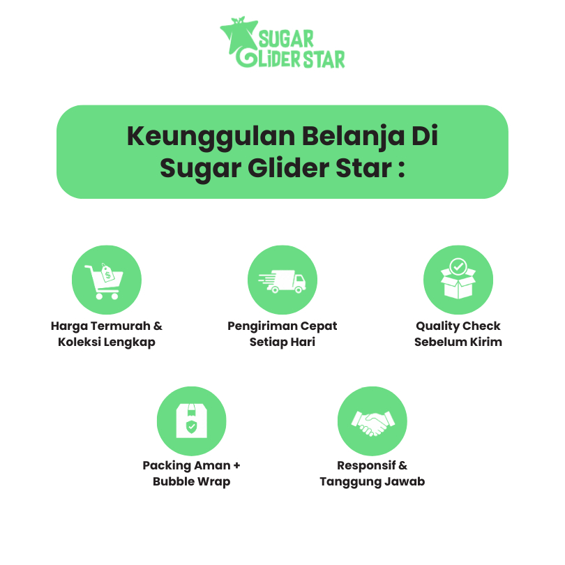 SUGAR GLIDER STAR Paket Grooming Sugar Glider Shampo Parfume & Disinfectant Kandang