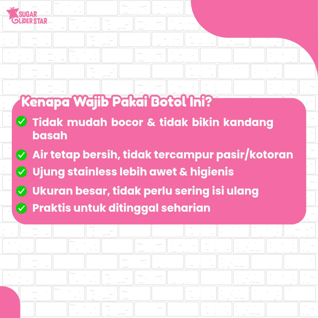 SUGAR GLIDER STAR Botol Minum Navo Anti Bocor 250ml Sugar Glider