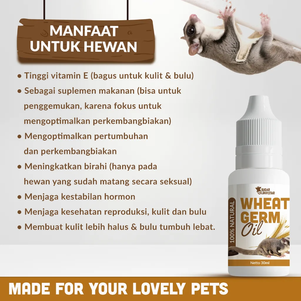SUGAR GLIDER STAR Wheat Germ Oil Vitamin Lengkap Sugar Glider 30ml