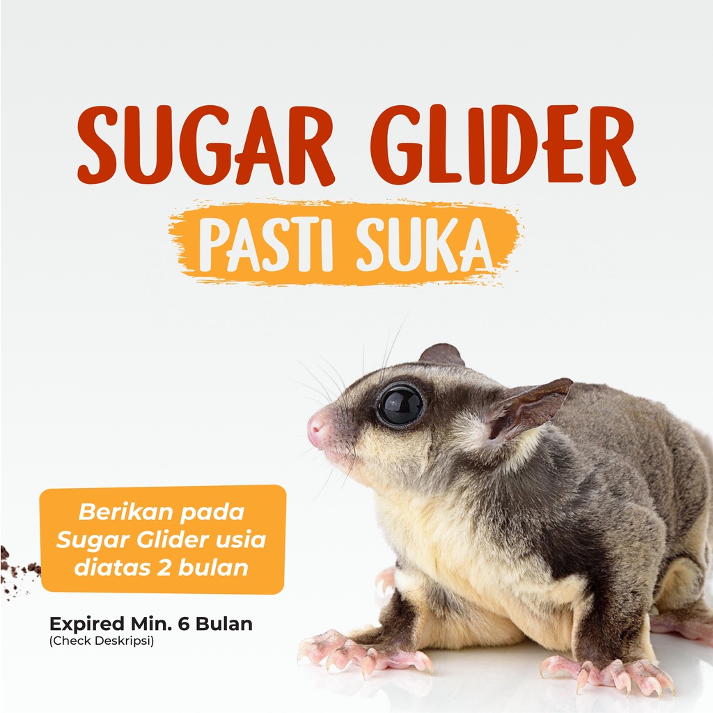 SUGAR GLIDER STAR Paket Vitamin Kebutuhan Sugar Glider