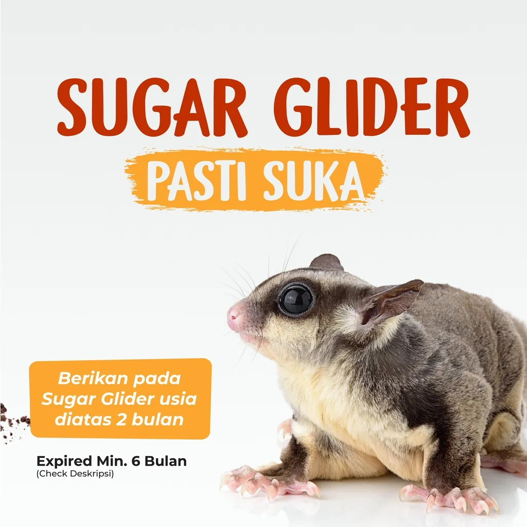SUGAR GLIDER STAR Paket Vitamin Kebutuhan Sugar Glider