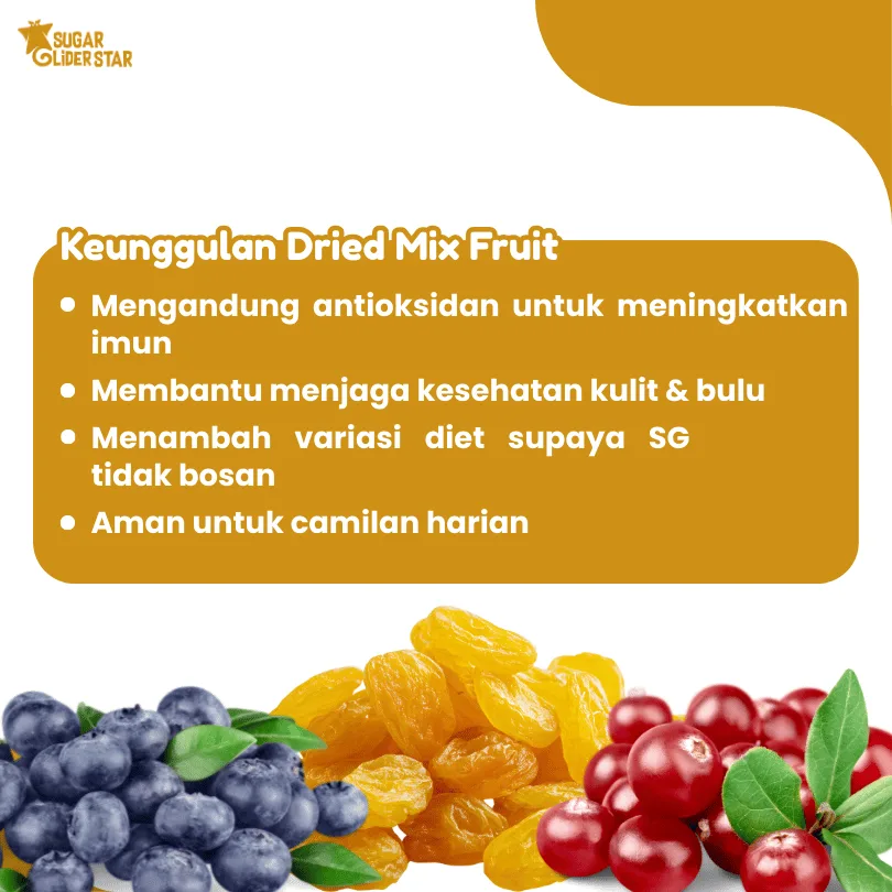 ADEWAP GLIDER Dried Mix Fruits Campuran 3 Buah Kering Cemilan Sugar Glider