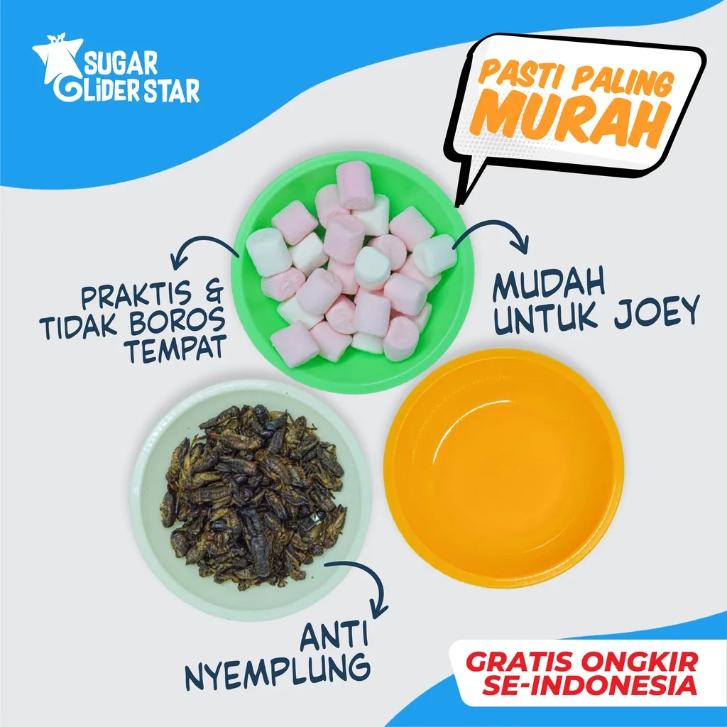 SUGAR GLIDER STAR Tempat Makan Mini Sugar Glider