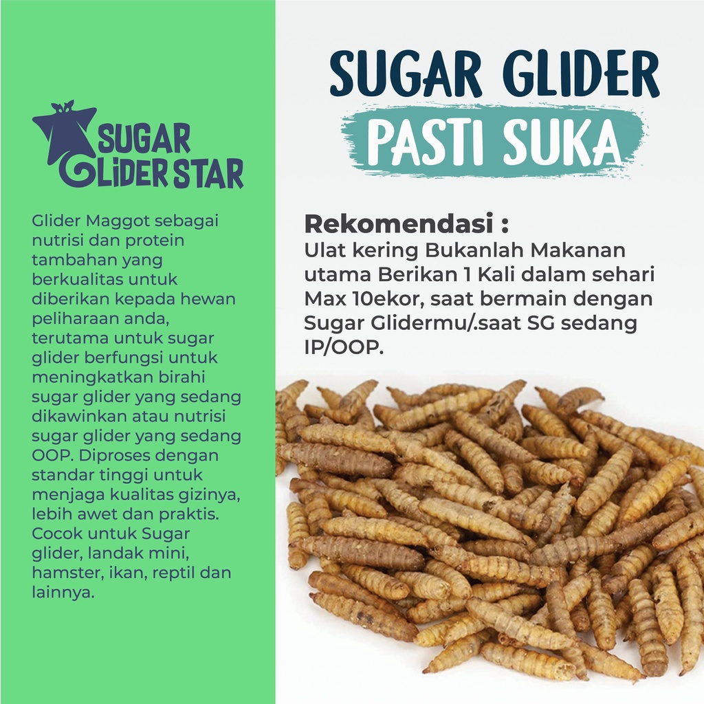 SUGAR GLIDER STAR Maggot Kering BSF Cemilan Makanan Sugar Glider 35gr