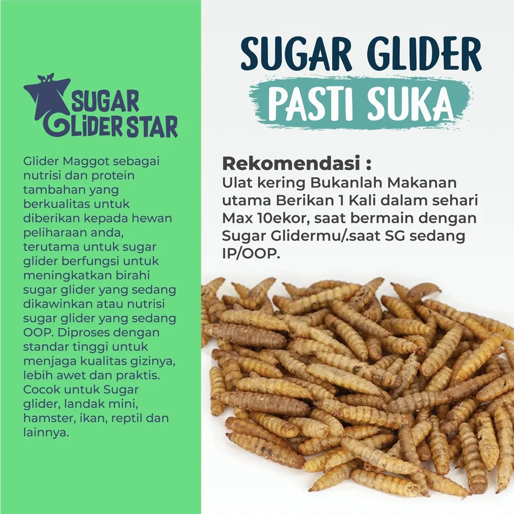 SUGAR GLIDER STAR Maggot Kering BSF Cemilan Makanan Sugar Glider 35gr