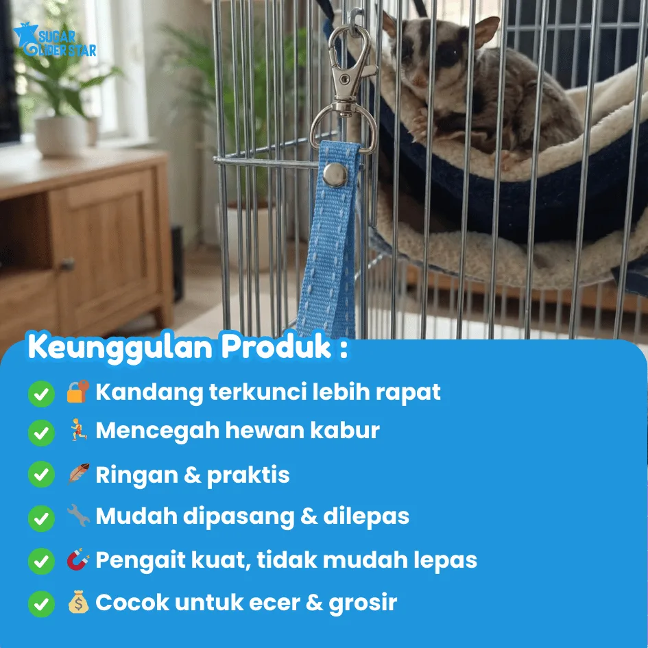 SUGAR GLIDER STAR Kunci Kandang Sugar Glider
