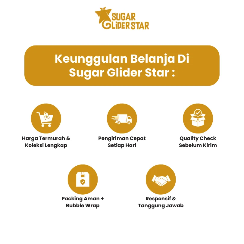 SUGAR GLIDER STAR Golden Raisin Buah Kismis Camilan Sugar Glider