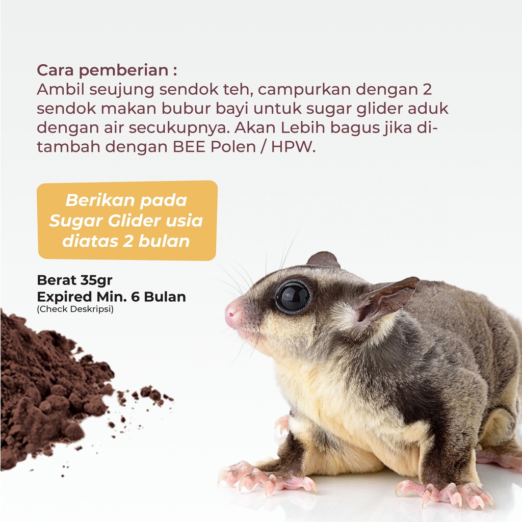 SUGAR GLIDER STAR Tepung Jangkrik Nutrisi Protein Sugar Glider