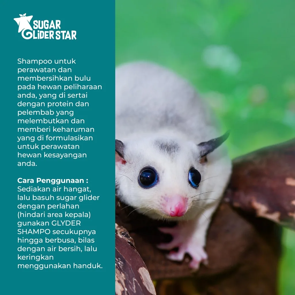 SUGAR GLIDER STAR Shampoo Anti Kutu Sugar Glider 250ML