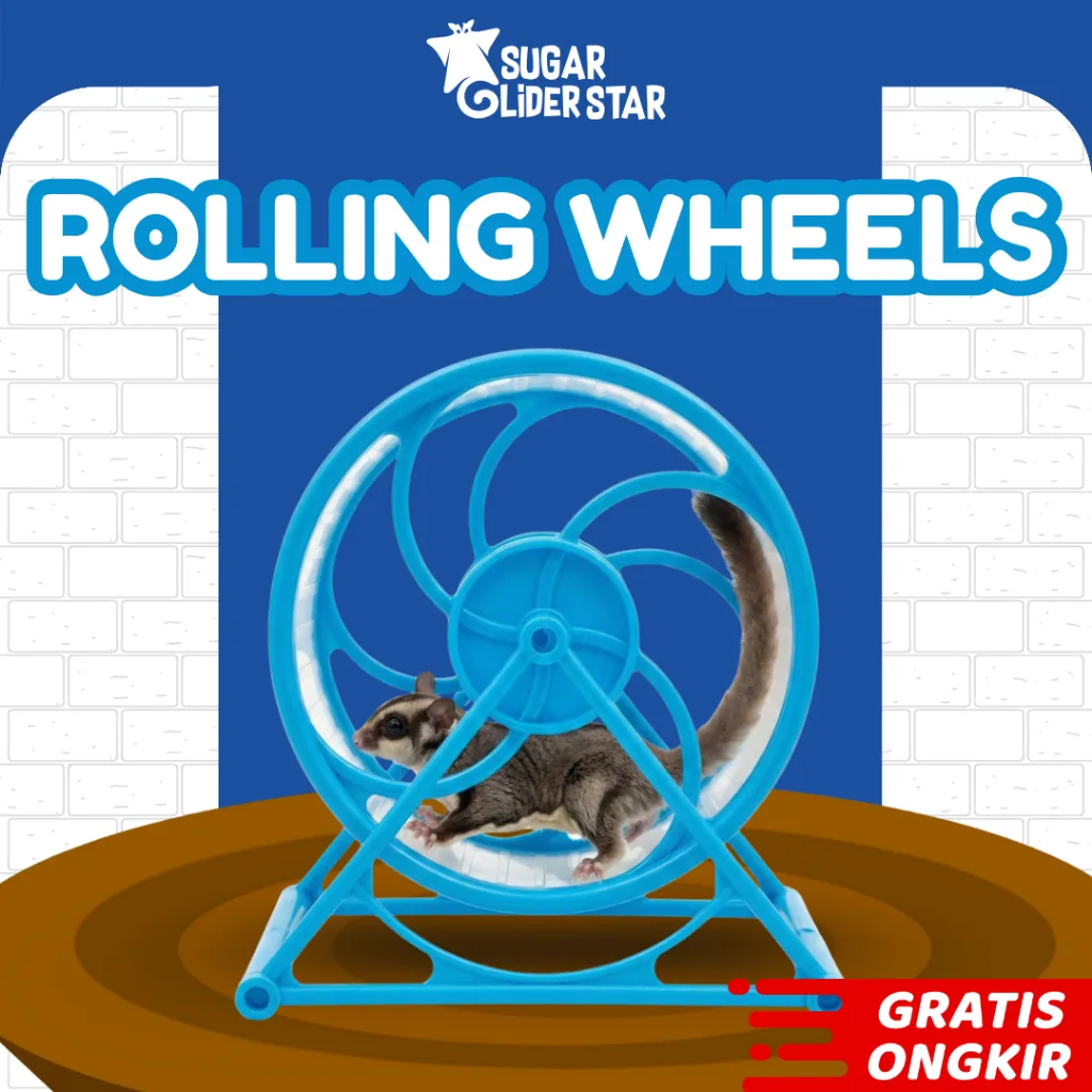 ADEWAP GLIDER Rolling Wheel Exerise 8 Sweet Mainan Sugar Glider