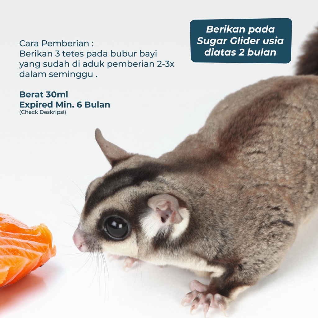 SUGAR GLIDER STAR Minyak Ikan Salmon Oil Vitamin Bulu Sugar Glider 30ml