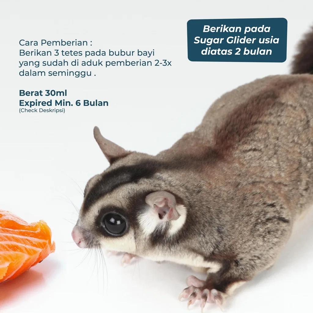 SUGAR GLIDER STAR Minyak Ikan Salmon Oil Vitamin Bulu Sugar Glider 30ml