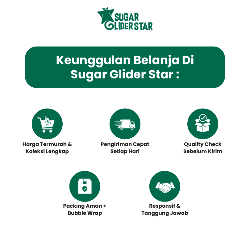 SUGAR GLIDER STAR Daun Ranting Plastik Hiasan Kandang Hewan 1 meter