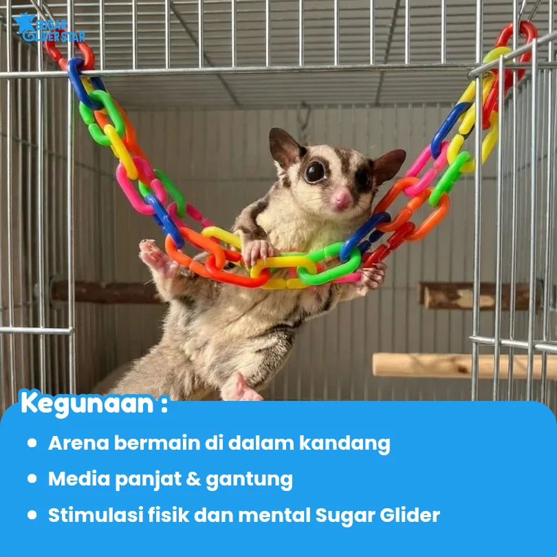 SUGAR GLIDER STAR Rantai Mainan Hewan Sugar Glider Ukuran Besar