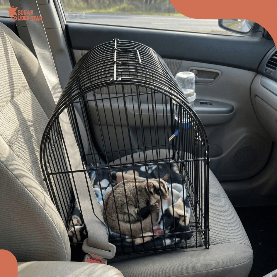 SUGAR GLIDER STAR Travel Cage Lengkung Kandang Mini Sugar Glider
