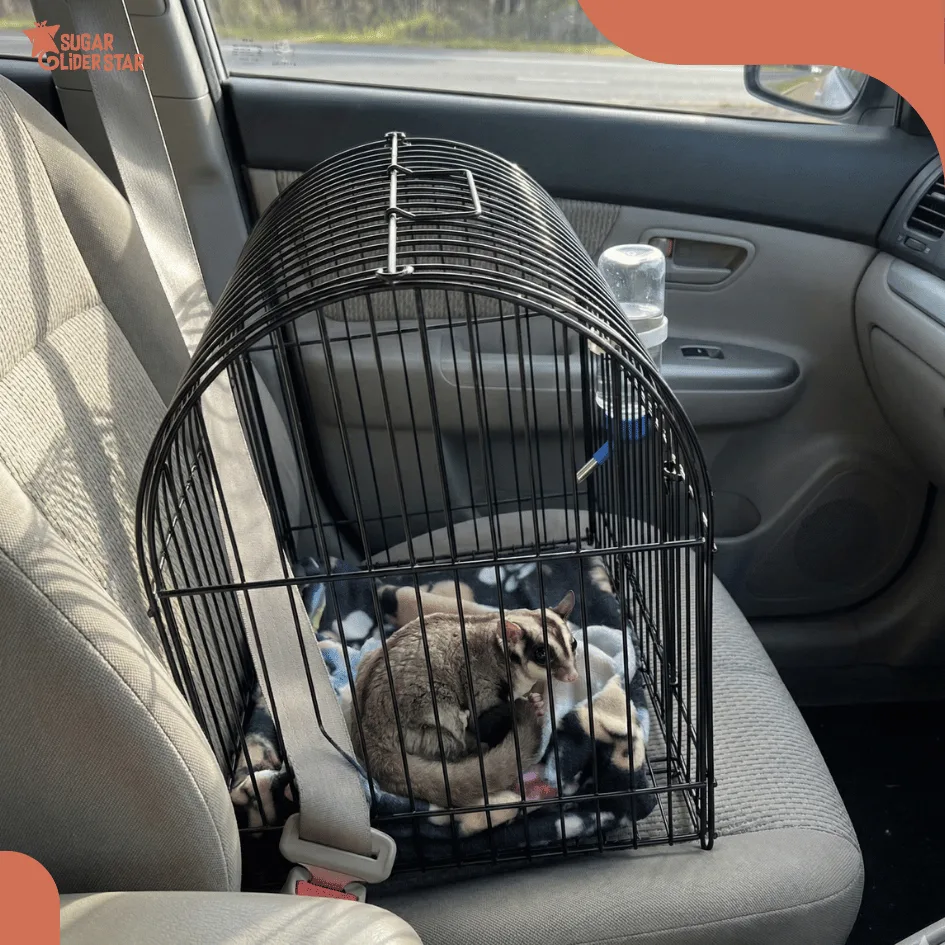 ADEWAP GLIDER Travel Cage Curve For Sugar Glider  - Tidak Termasuk Kandang Kecil