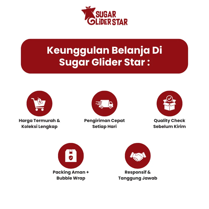 SUGAR GLIDER STAR Gobe Steak Makanan Import Cemilan Sugar Glider 50gr