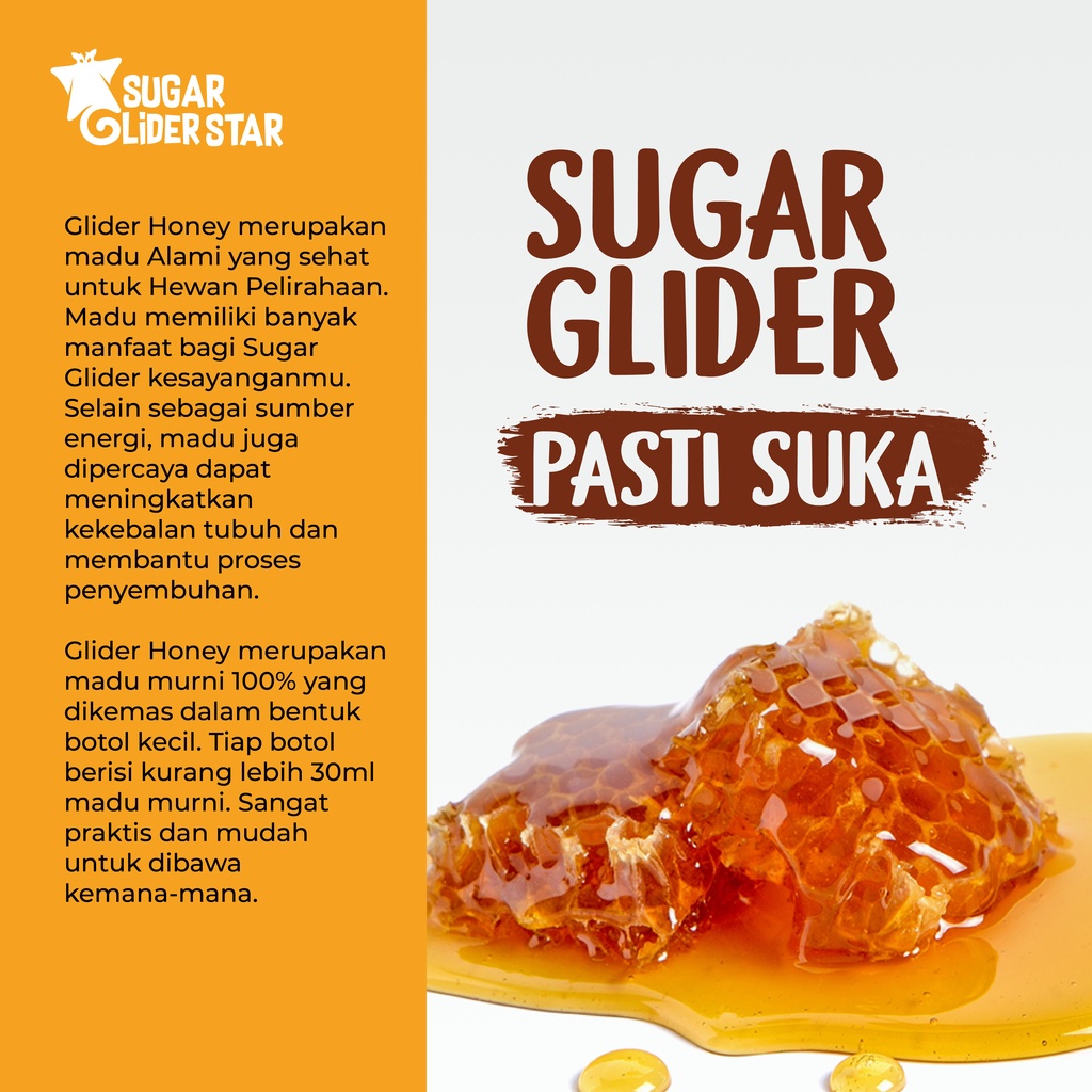 SUGAR GLIDER STAR Glider Honey Madu Murni Kesehatan Sugar Glider 30ml