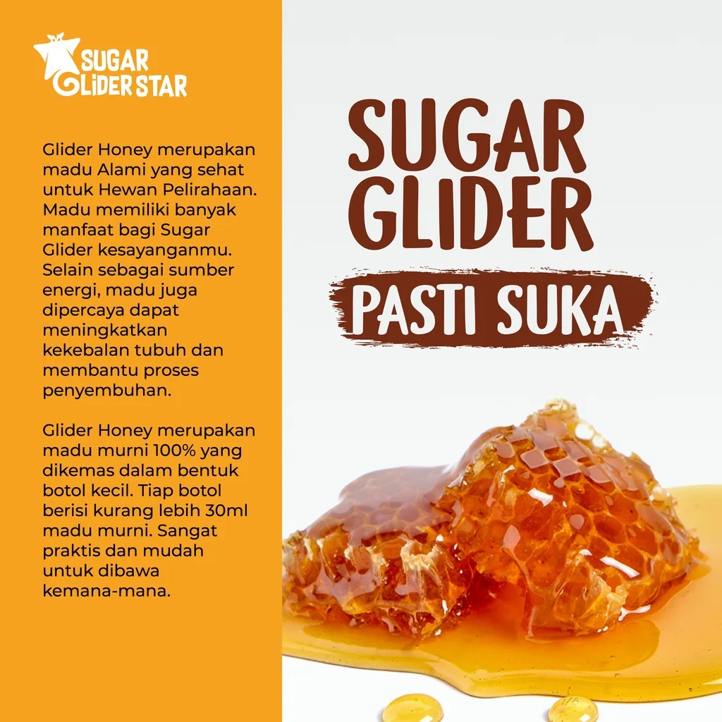 SUGAR GLIDER STAR Glider Honey Madu Murni Kesehatan Sugar Glider 30ml