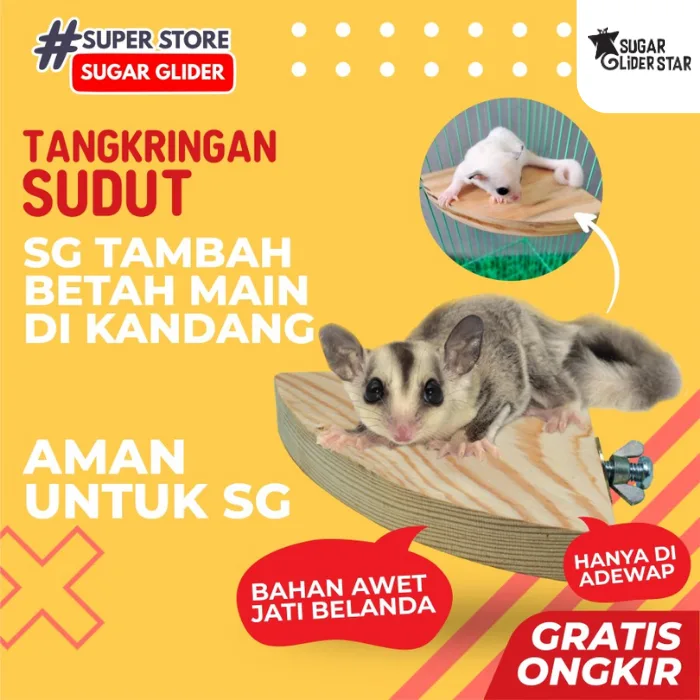 ADEWAP GLIDER Tangkringan Standing Sudut Kandang Sugar Glider